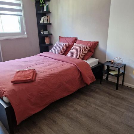 Robertsau Tres Bel Appartement สตราสบูร์ก ภายนอก รูปภาพ